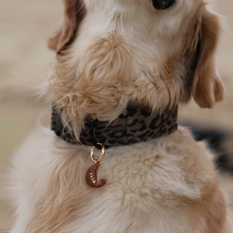 Adresówka dla psa z żywicy – personalizowana, perłowe wypełnienie (różne kolory i kształty)