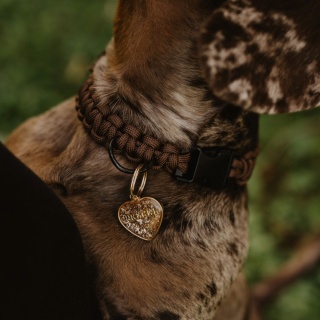 Obroża pleciona dla psa z linki paracord – brązowa, Dark Brown