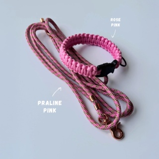 Smycz linowa miejska dla psa (standard) – różowo-beżowa, Praline Pink