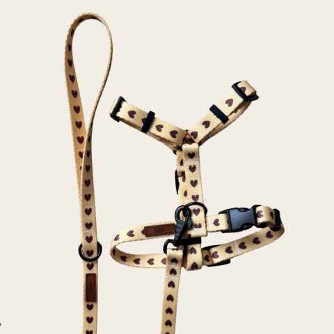 Smycz miejska dla psa w serduszka, personalizowana, kremowa – Psiamore