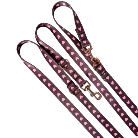 Smycz przepinana dla psa w serduszka, brązowa, personalizowana – Psiamore
