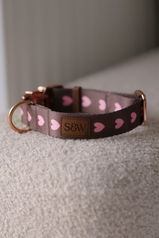 Obroża PSIAMORE Rose Gold 25 mm, obwód 27,5–34 cm - brązowa