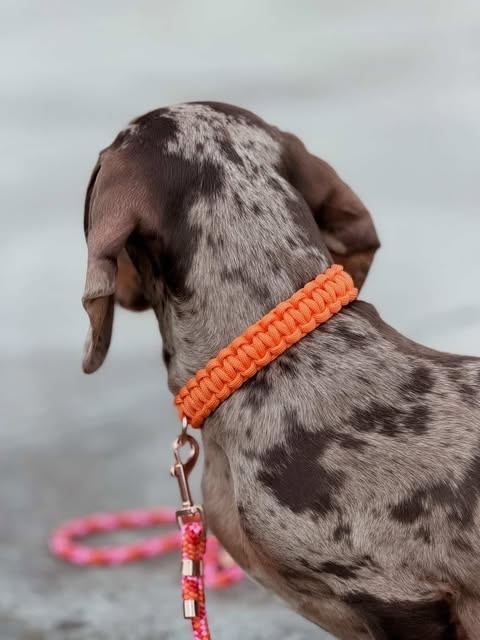 Obroża pleciona dla psa z linki paracord – pomarańczowa, Bloody Orange