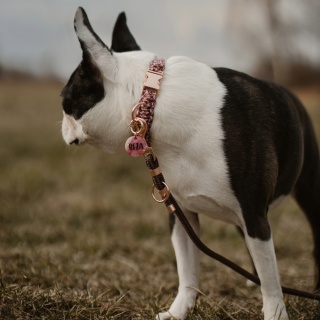 Smycz linowa przepinana dla psa – brązowa, Chocolate Brown