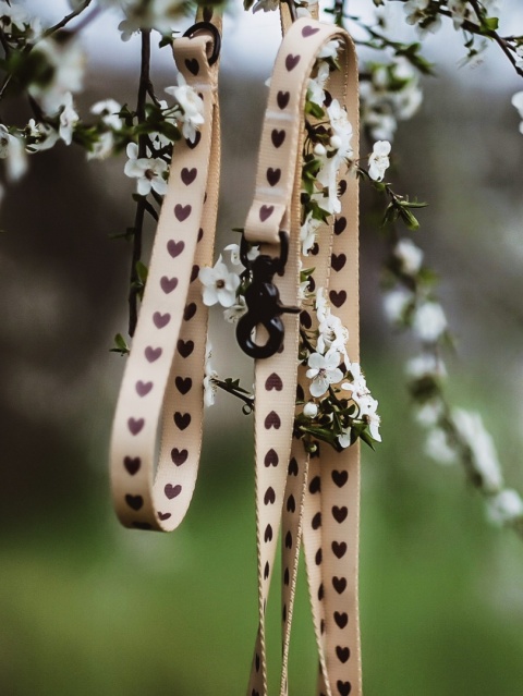 Smycz miejska dla psa w serduszka, personalizowana, kremowa – Psiamore