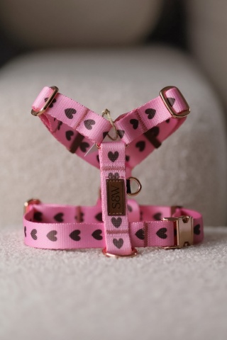 Szelki PSIAMORE Rose Gold 20 mm, S/M - różowe