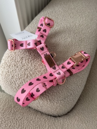 Szelki PSIAMORE Rose Gold 20 mm, S/M - różowe