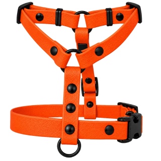 Szelki guard wodoodporne dla psa, pomarańczowe, regulowane – Bloody Orange