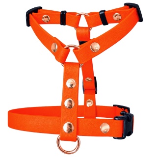 Szelki guard wodoodporne dla psa, pomarańczowe, regulowane TPU – Bloody Orange