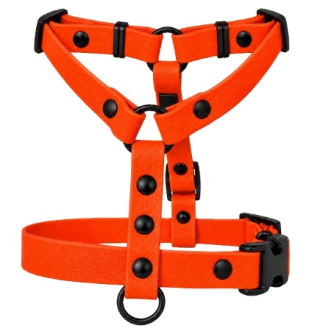 Szelki guard wodoodporne dla psa, pomarańczowe, regulowane TPU – Bloody Orange