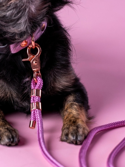 Smycz linowa przepinana dla psa "hands free" – lawendowa, Lavender Pink